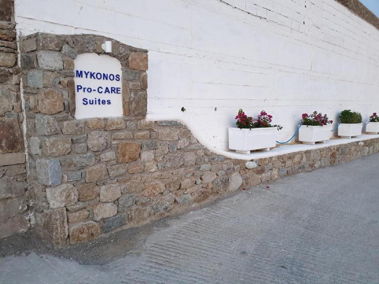 Mykonos Pro-Care Suites Ano Mera Exterior foto